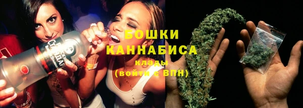 крисы Балахна