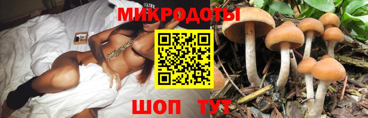 Галлюциногенные грибы мицелий  Вход с VPN  Верхняя Салда  Псилоцибиновые грибы Cubensis 